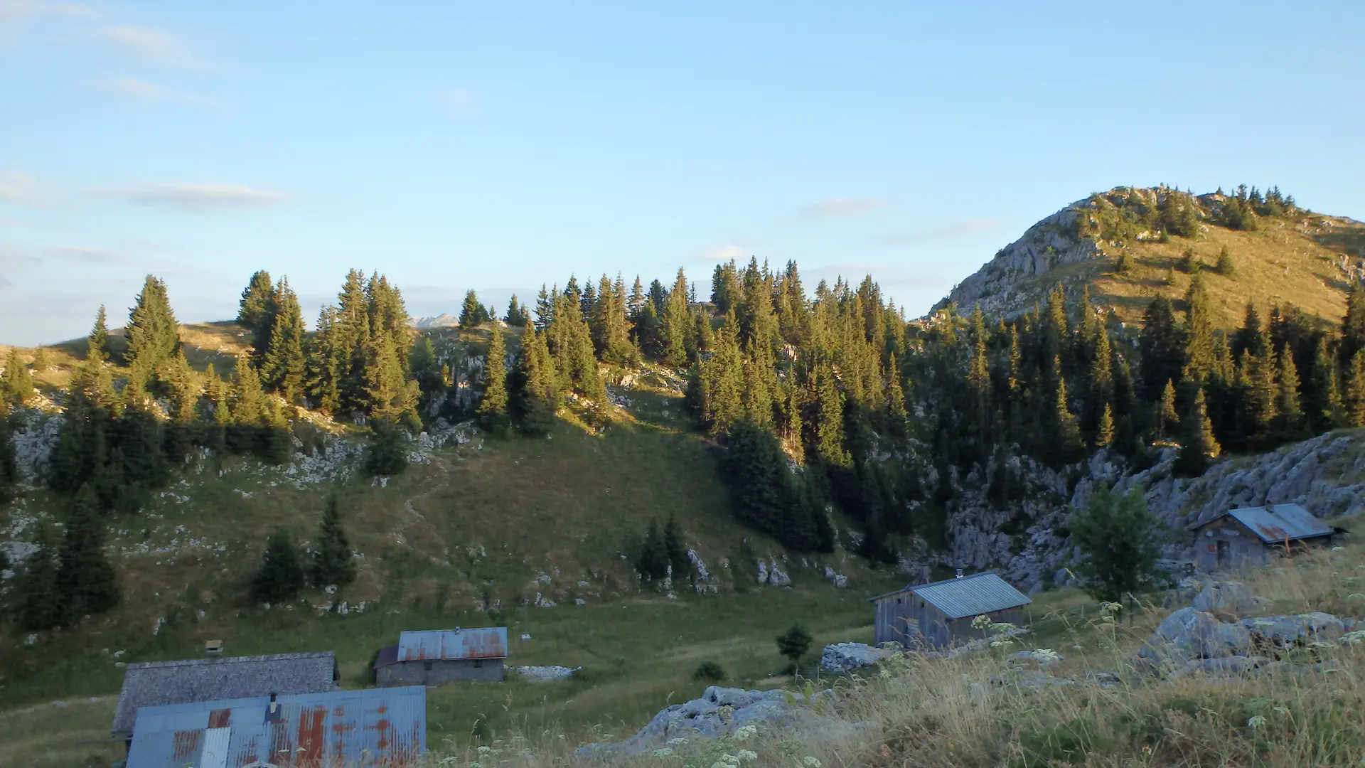 Nifflon d'En Haut