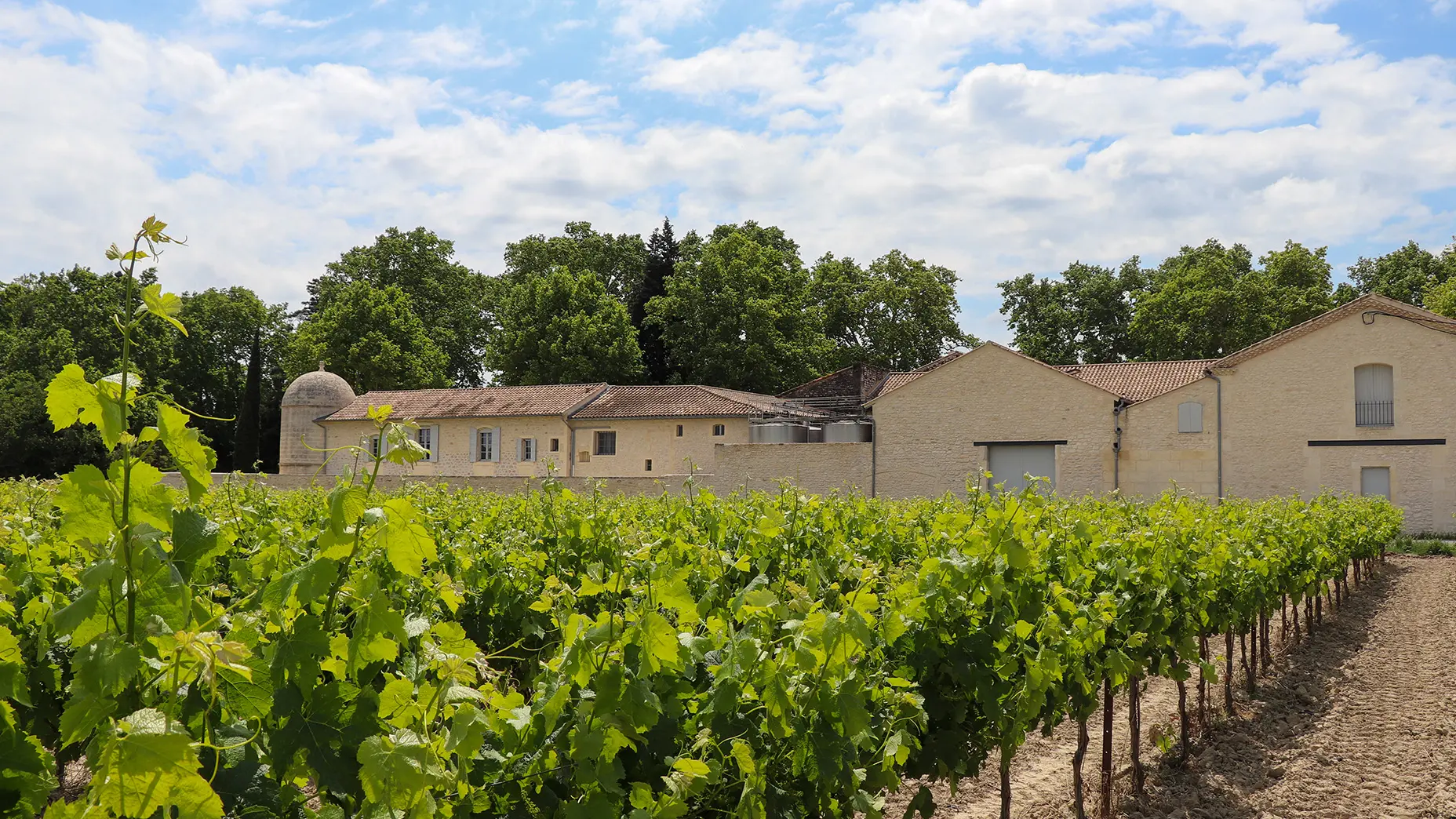 Domaine du Grand Mas de Lansac_Tarascon