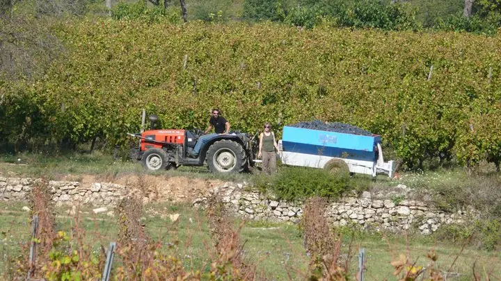 Domaine Bois des Demoiselles