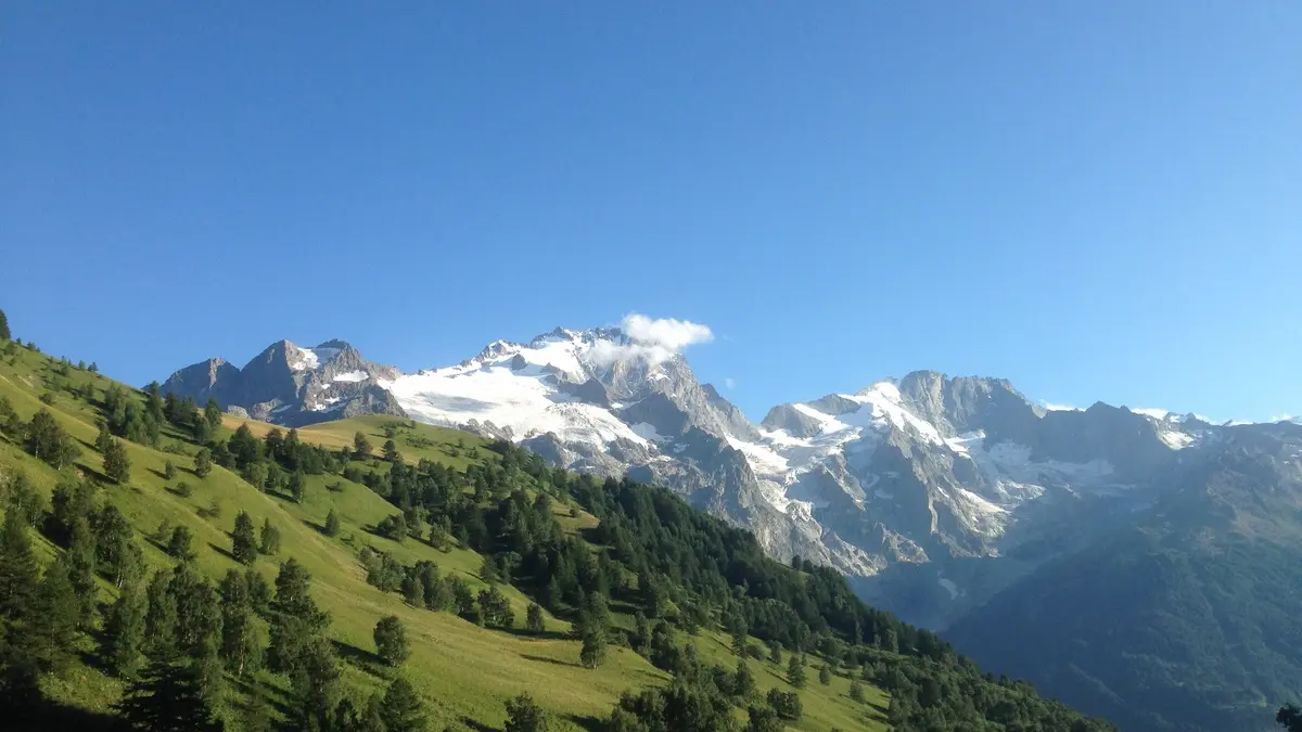 La Meije et crête de l'Aiguillon