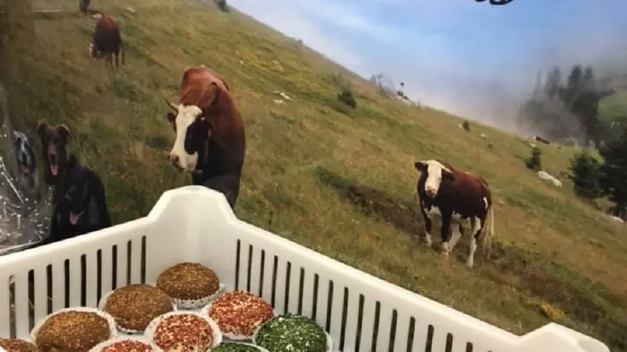 Vente à la ferme