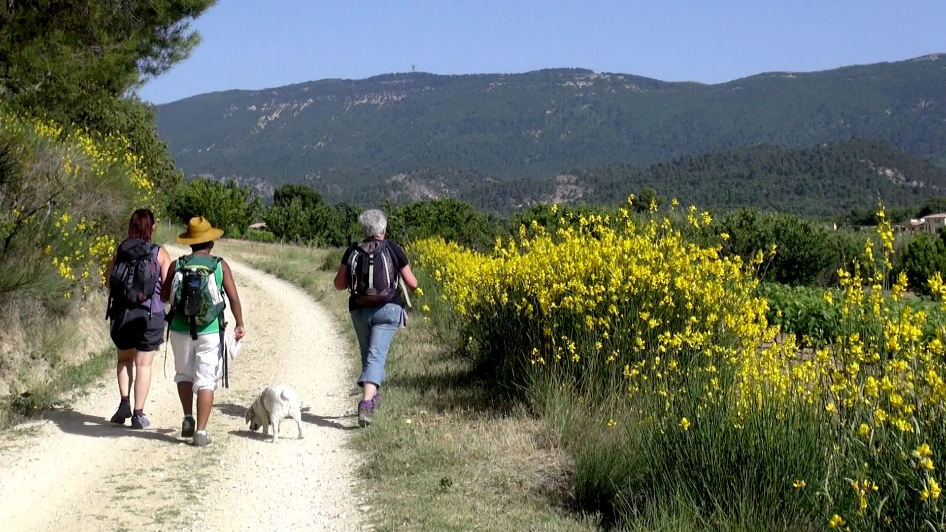 OT LUB - La Motte d'Aigues