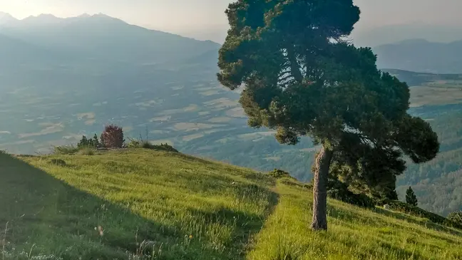 Sentier à la montée  en direction de Coste Belle