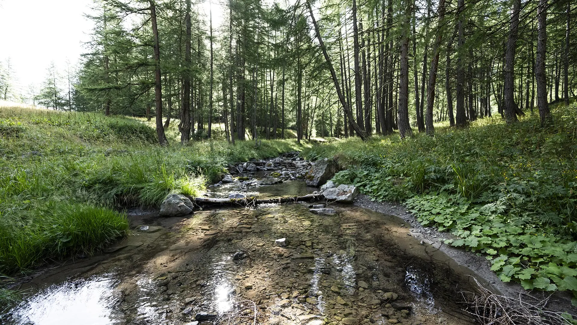 Tour de la Pierre Eclatée