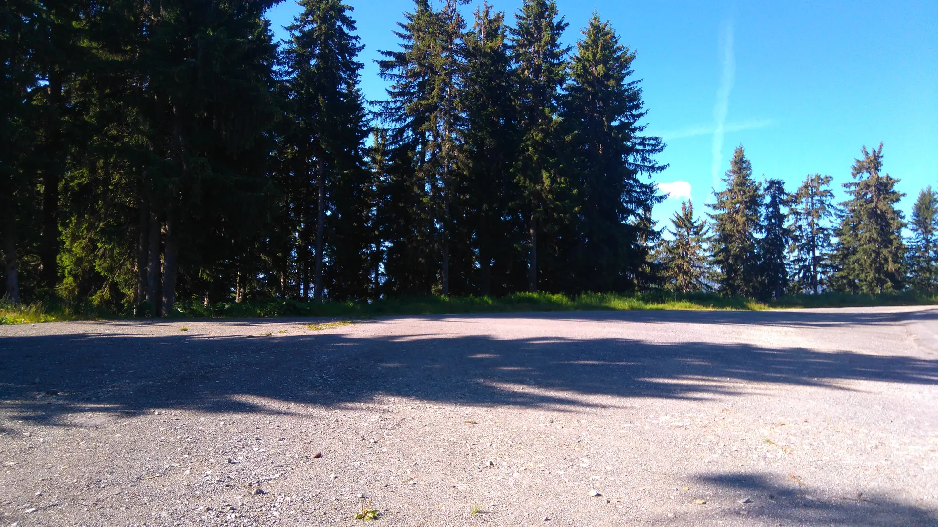 Aire de service de la forêt