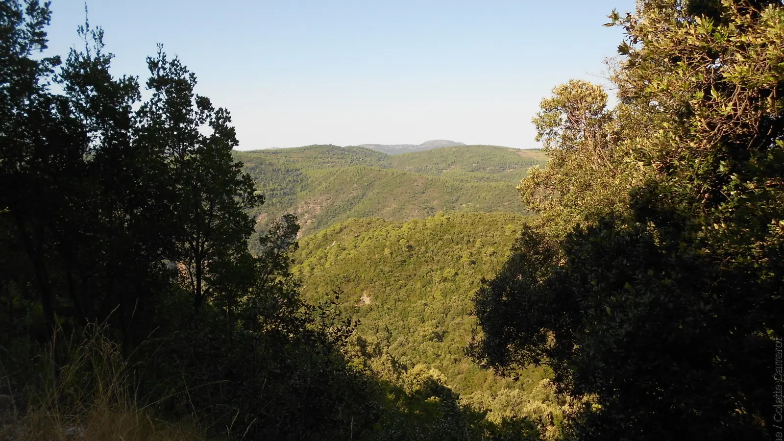 Le Massif des Maures
