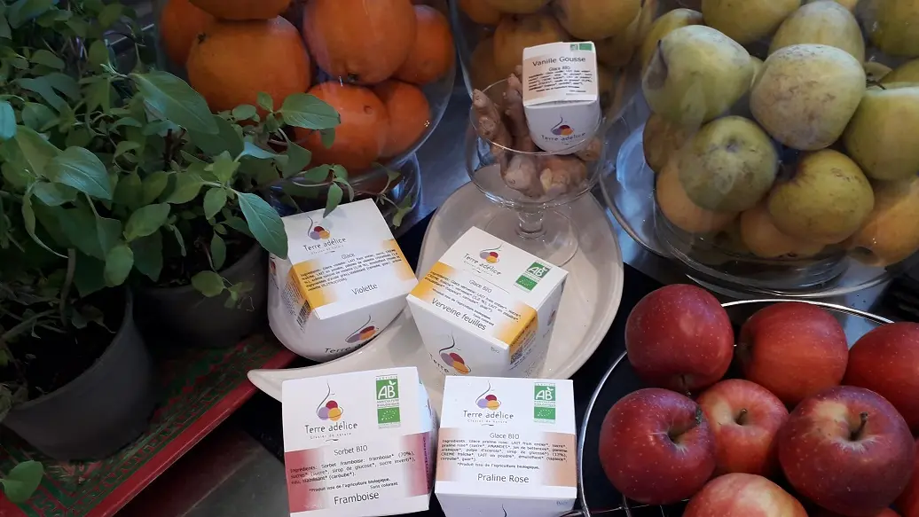 Basilic Citron - Bar à jus, à Soupe, Sorbet