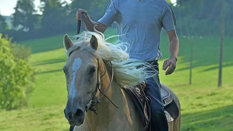 Randonnée équestre à Ferrières-sur-Sichon