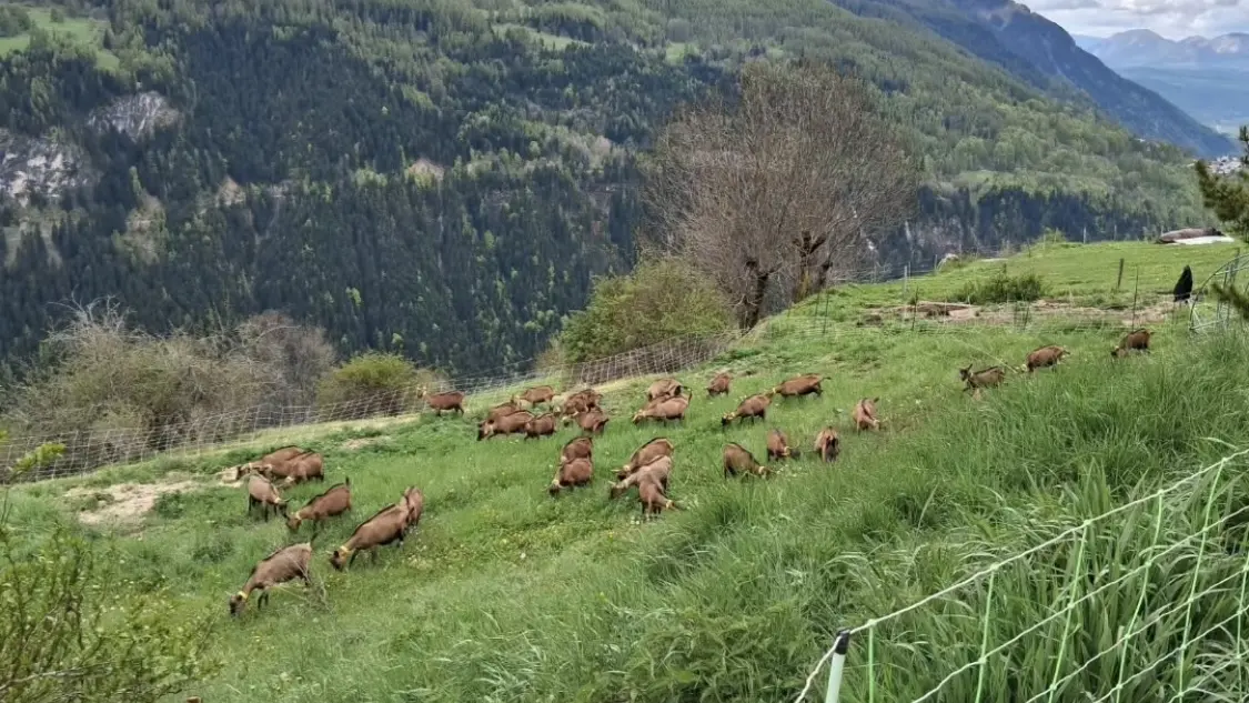 MarcoRandos - Randonnées gourmandes_Orcières
