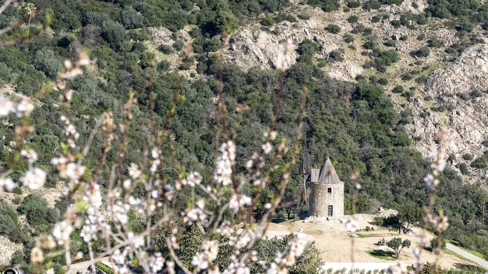 Moulin St Roch à Grimaud