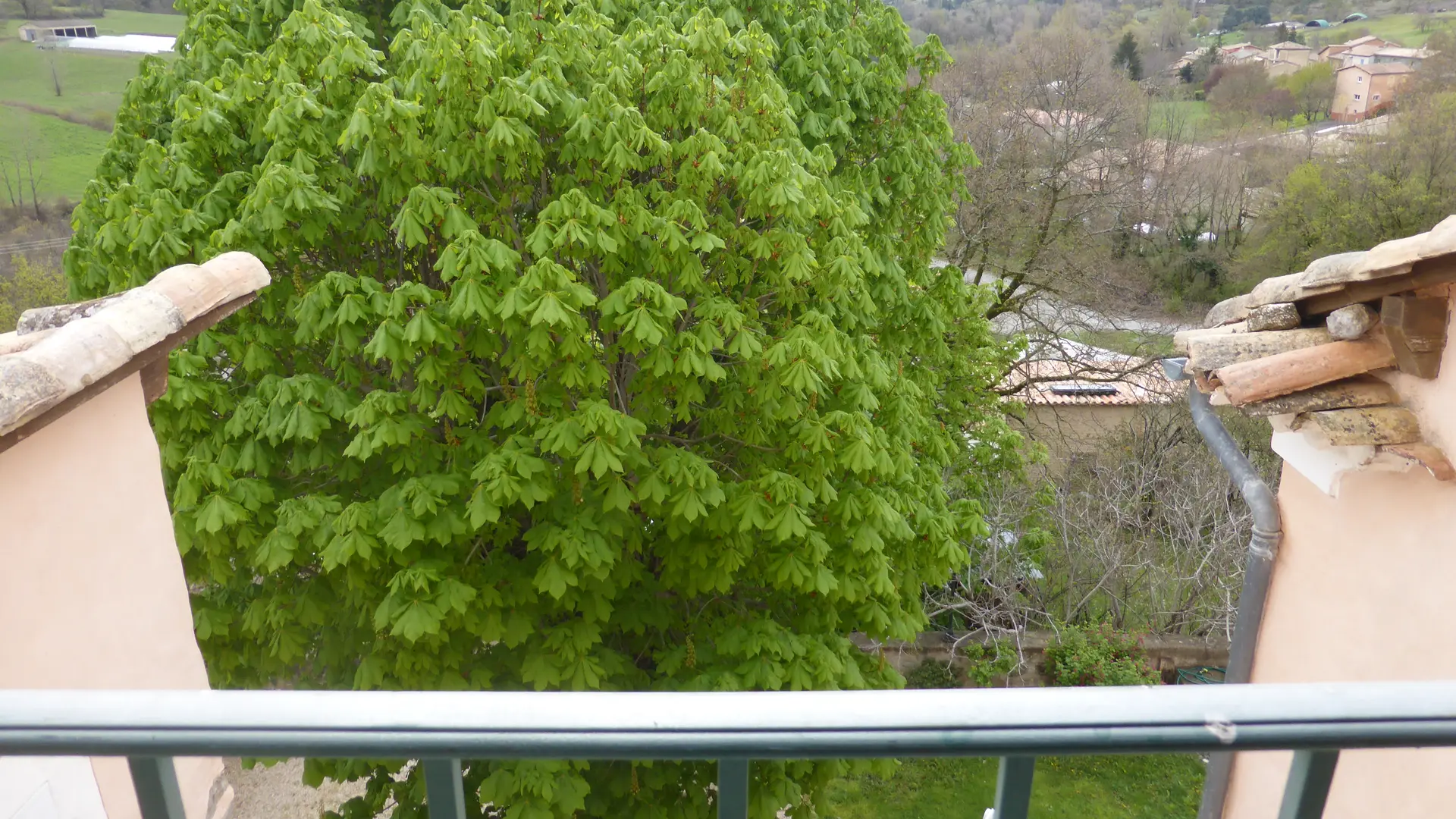 Vue de la terrasse sur la cour