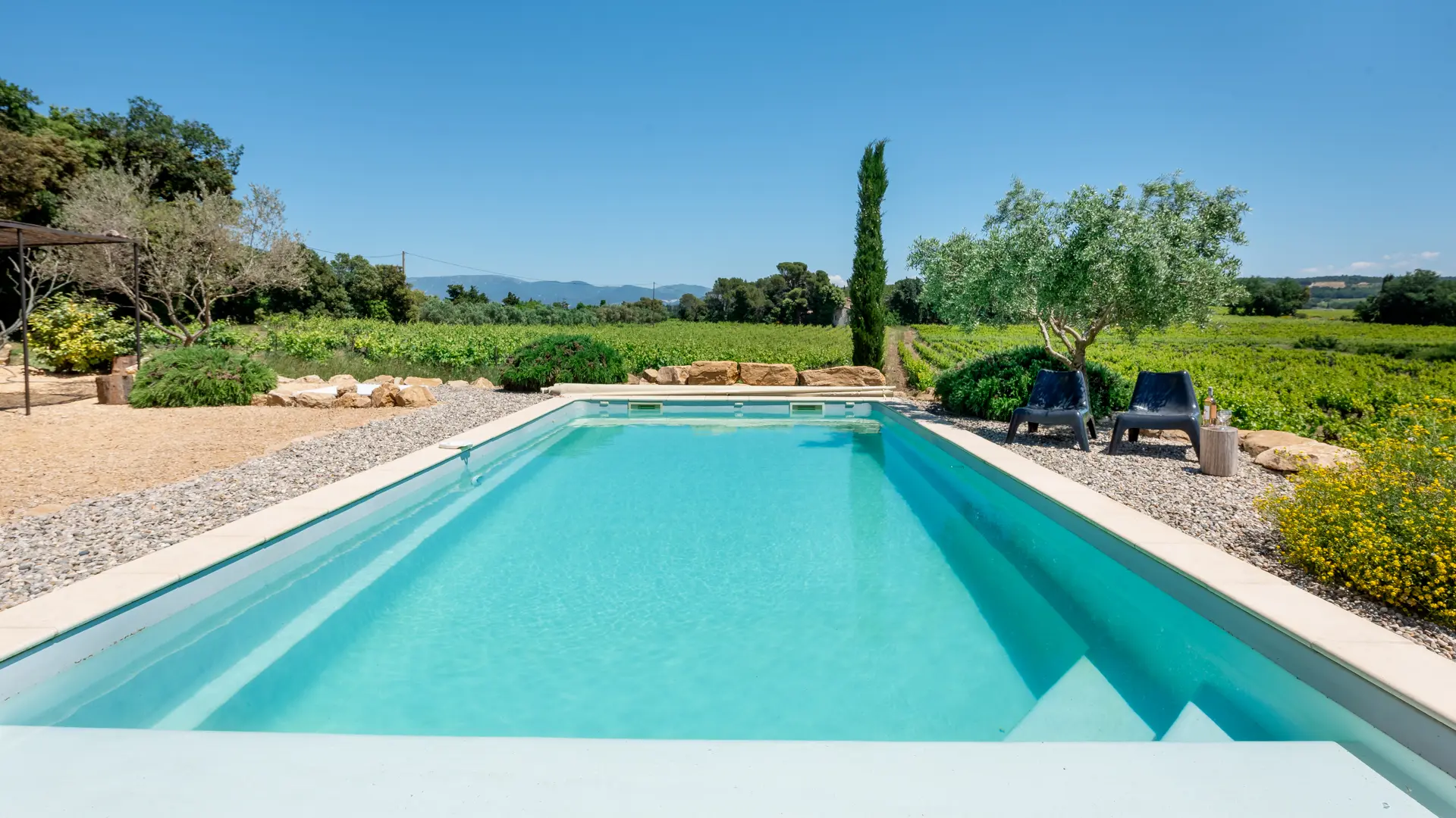 La piscine entourée de vignes