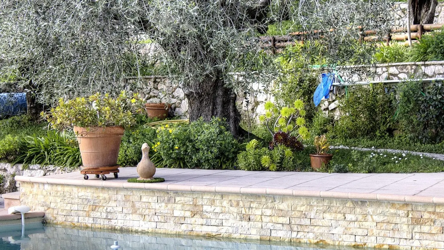 Les Oliviers de St-Jeannet- Jardin arboré - Gîtes de France Alpes-Maritimes