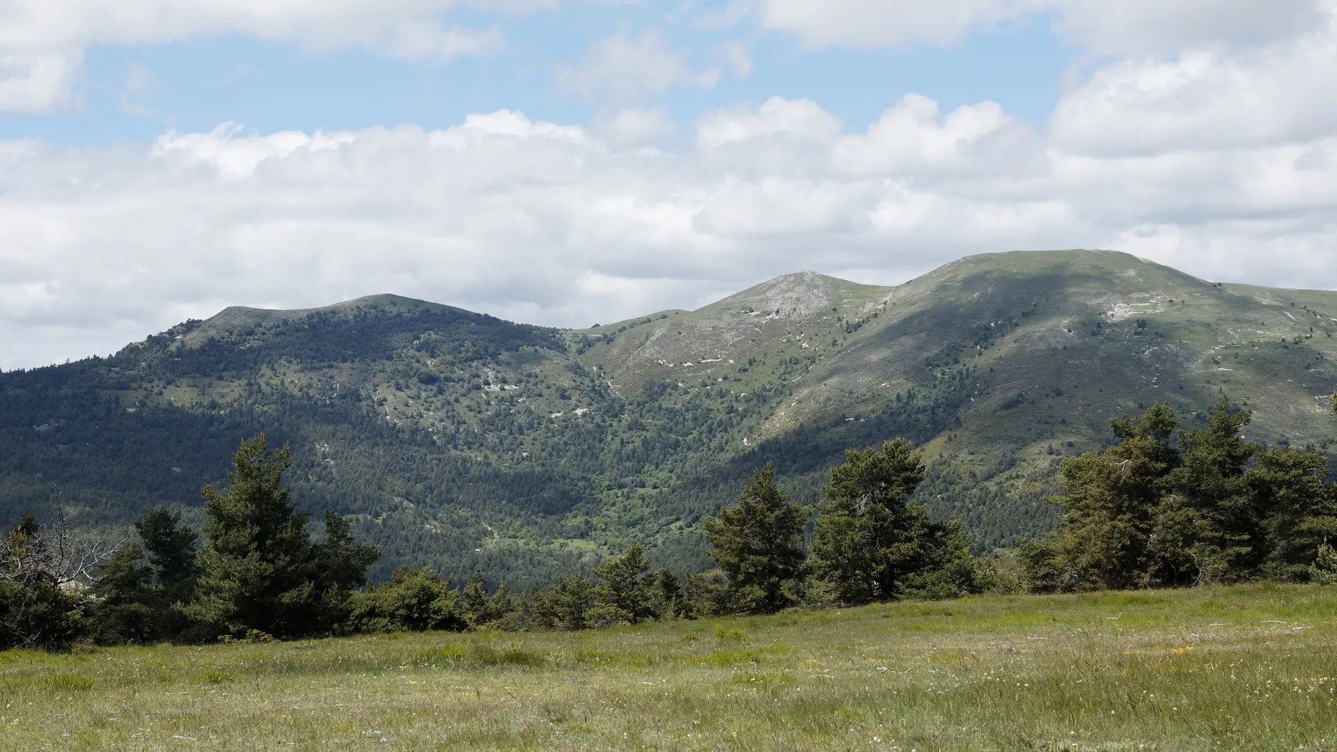 La Montagne d'Aureille