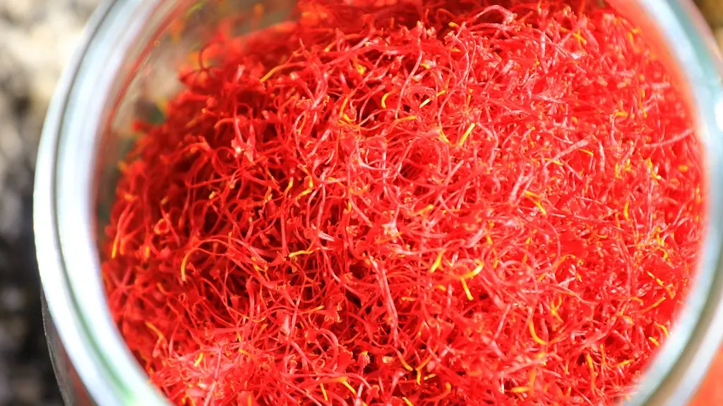 Alain Hocquel - Collect. ADT