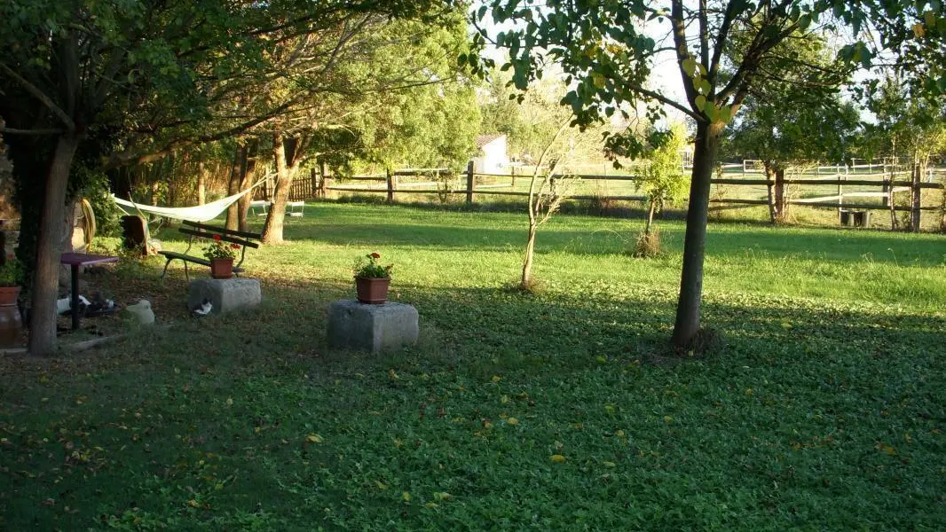 photo30