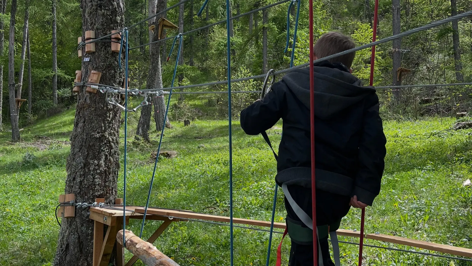 Réallon Aventure - Parcours acrobatique en forêt