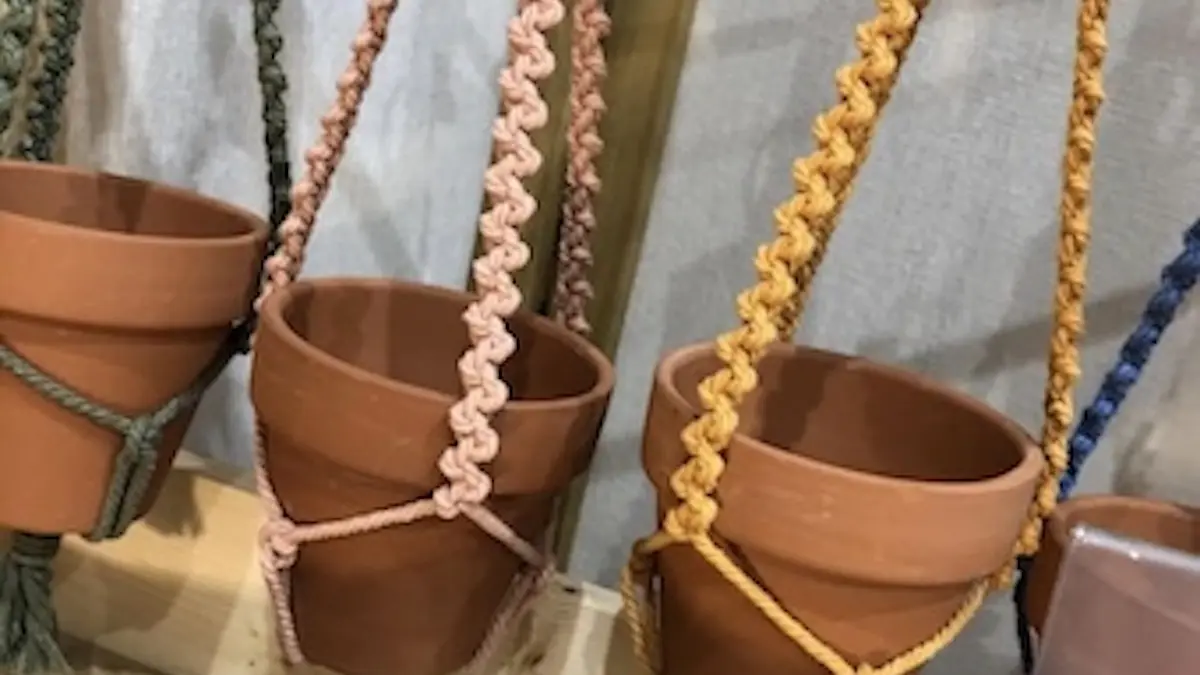 vases