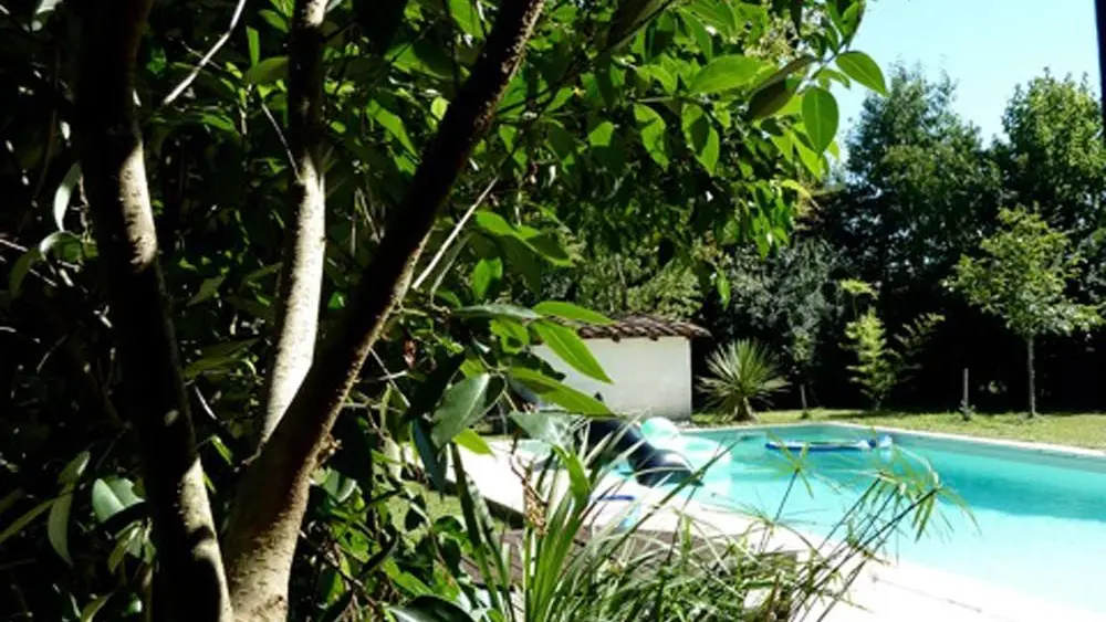 Espace arboré autour de la piscine