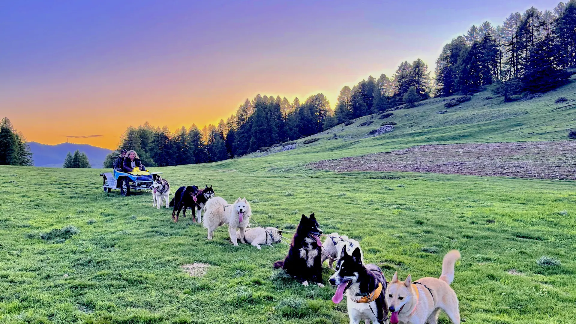 Balade en Cani-kart