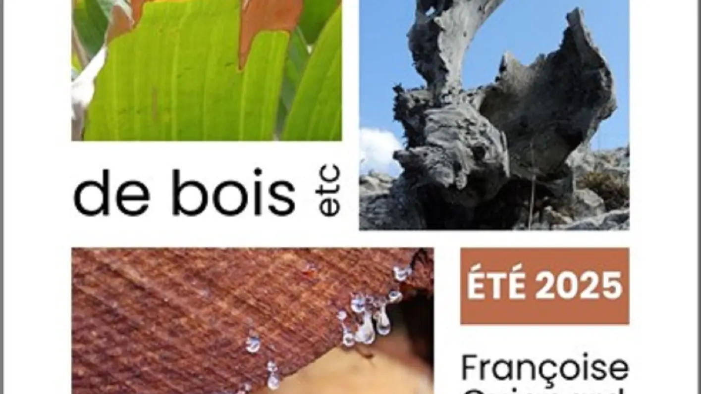 Expo bois Françoise Guignard