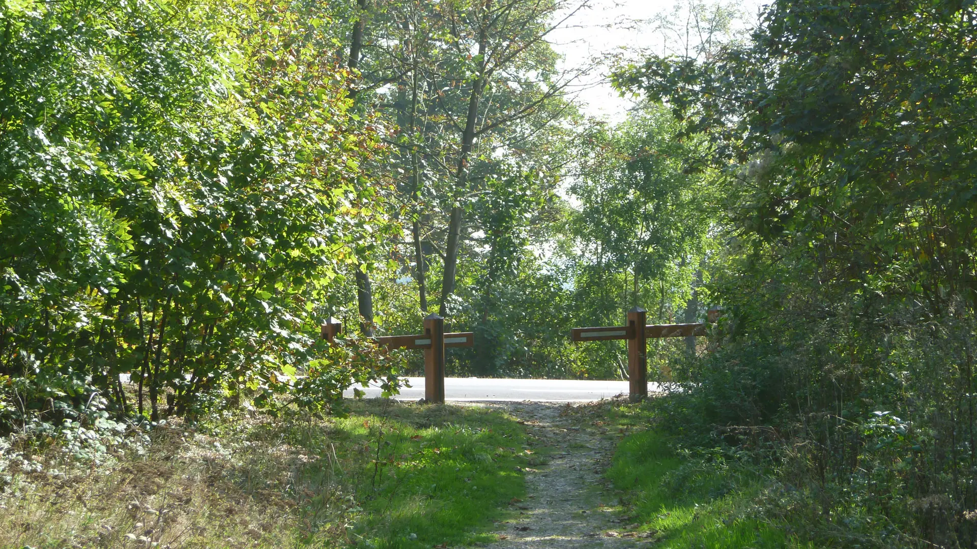 Randonnée en forêt de Marly