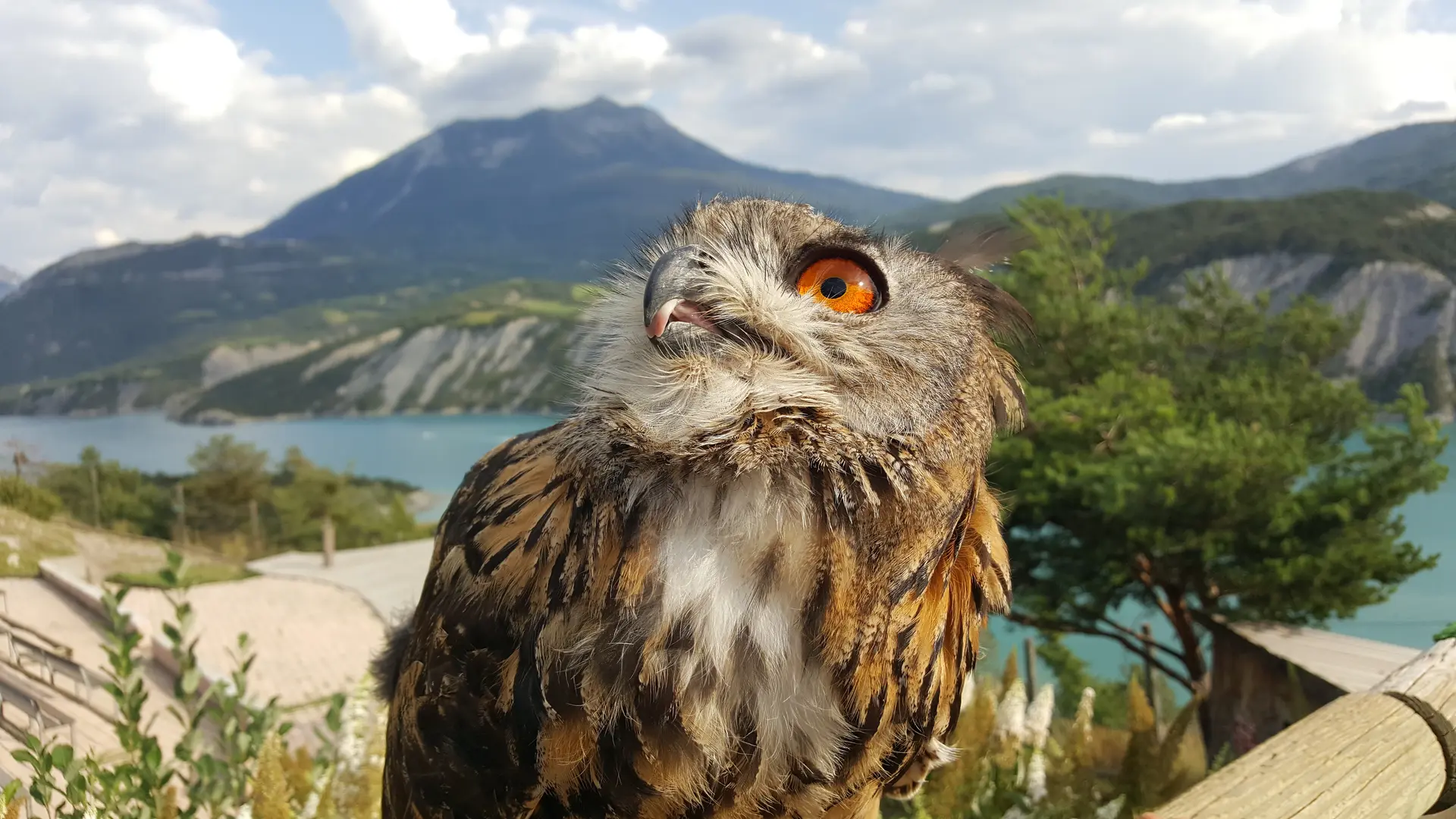 Parc Animalier de Serre-Ponçon LE SAUZE-DU-LAC