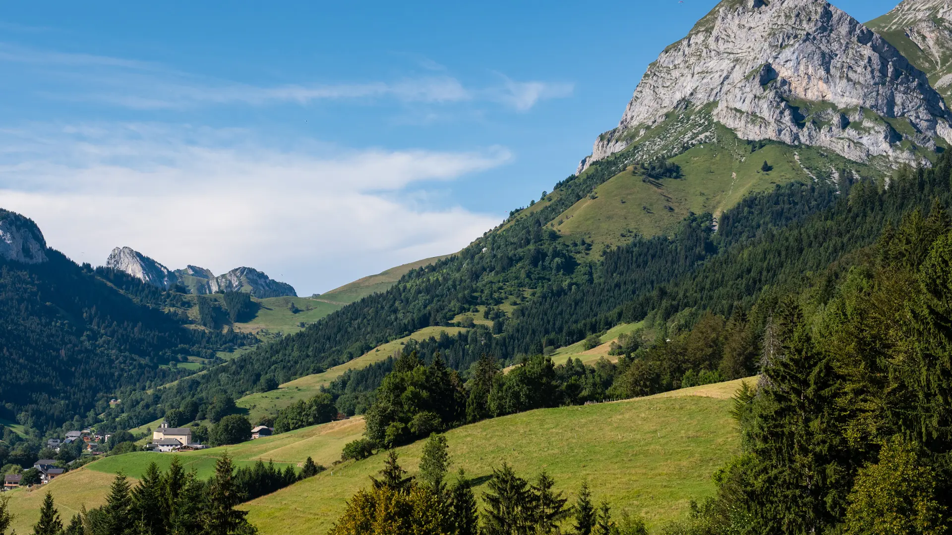 paysage d'été
