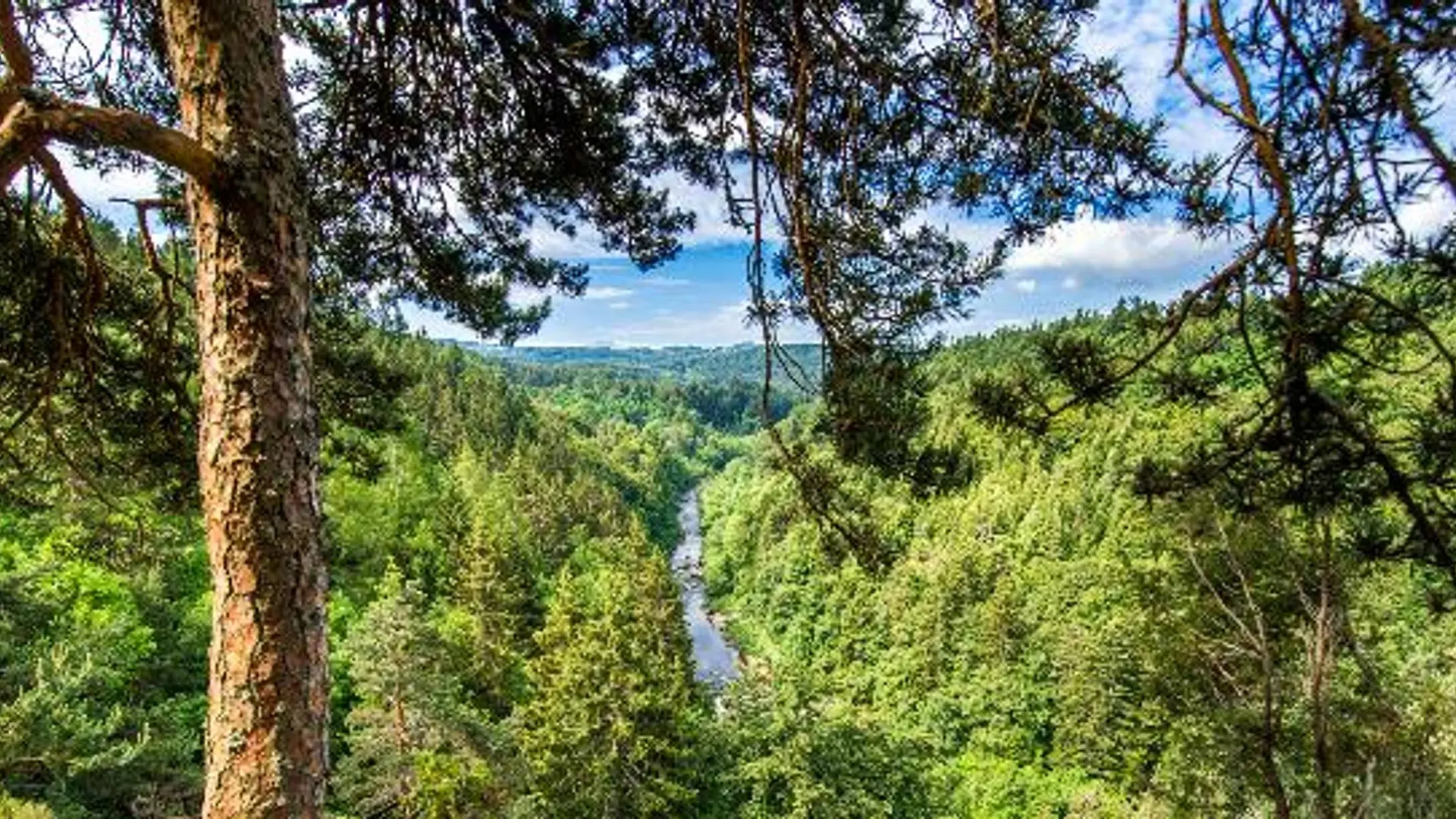Les gorges du Lignon