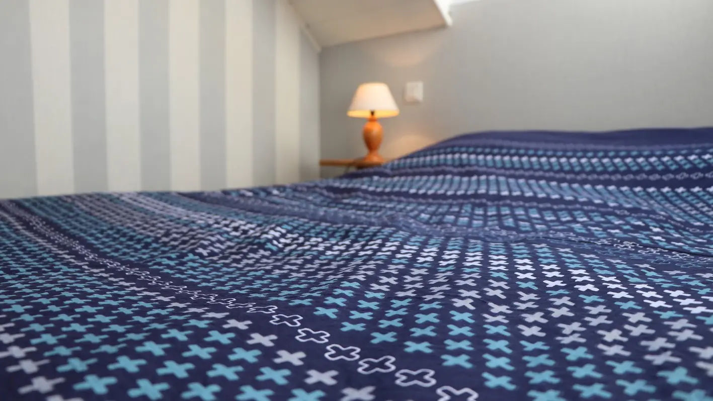 Autre vue Chambre Mont Cook