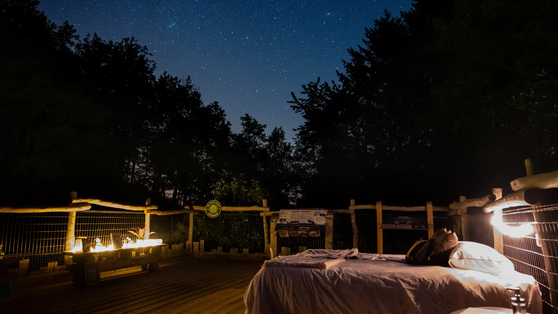 La tête dans les étoiles - Nuit au Parc