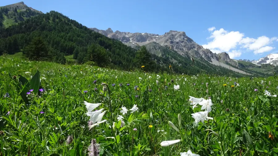 Séjour randonnée avec le Chalet d'en Hô