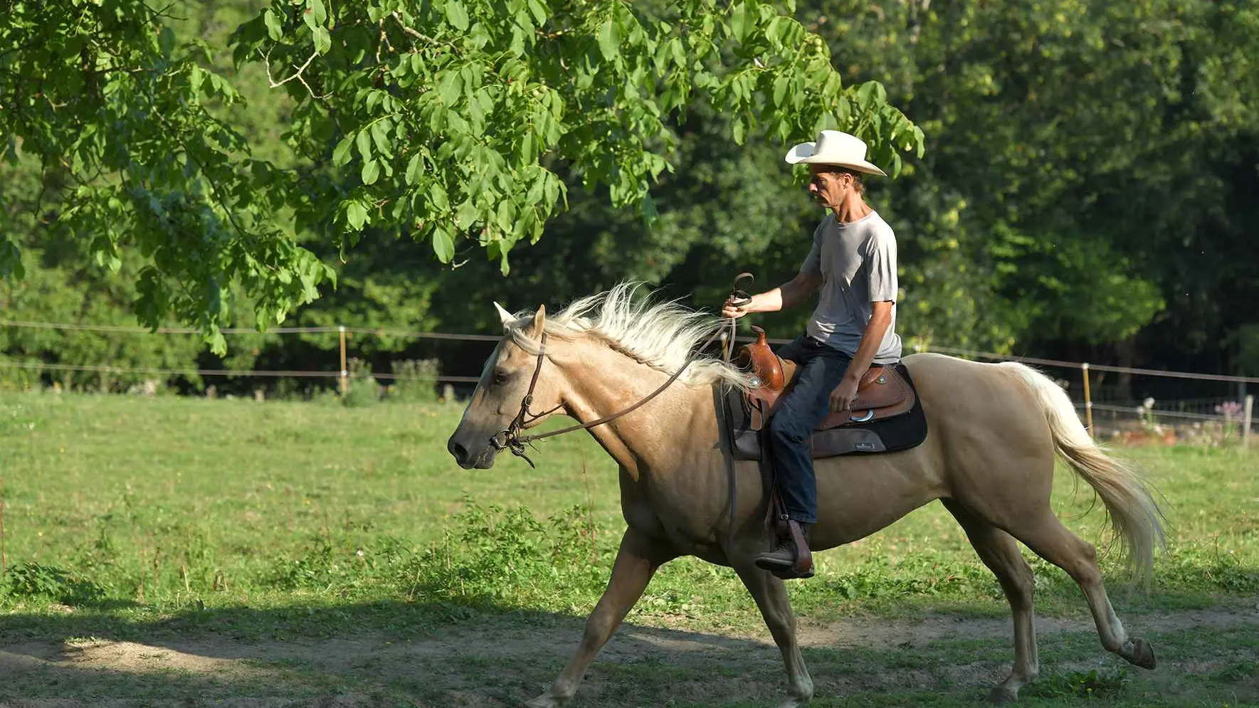 Randonnée équestre à Ferrières-sur-Sichon