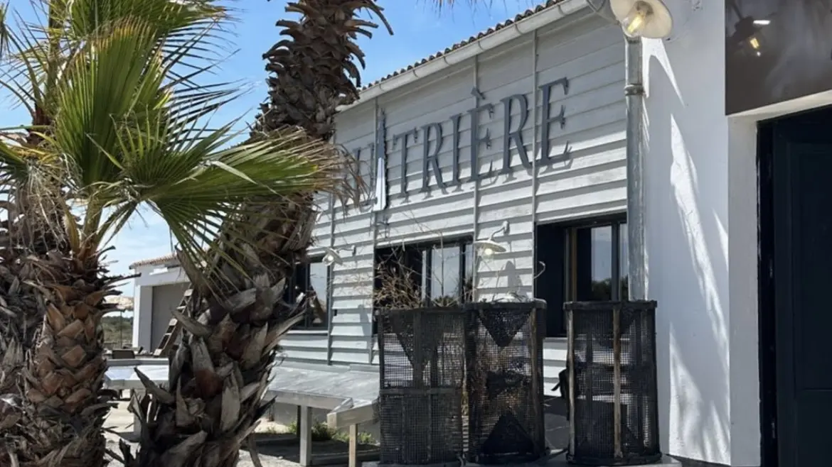 Palmiers de L'Huitrière