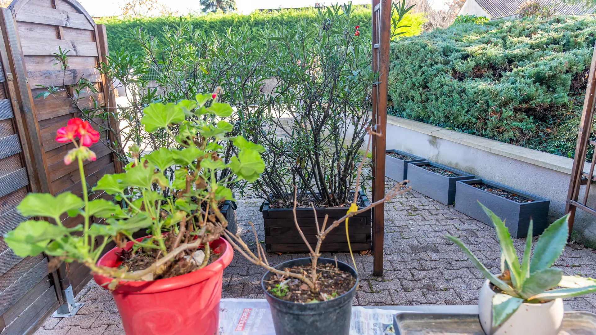 Petite terrasse privative