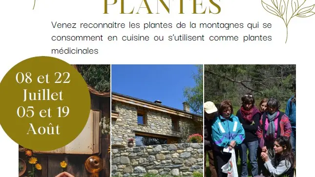 Les après-midi PLANTE