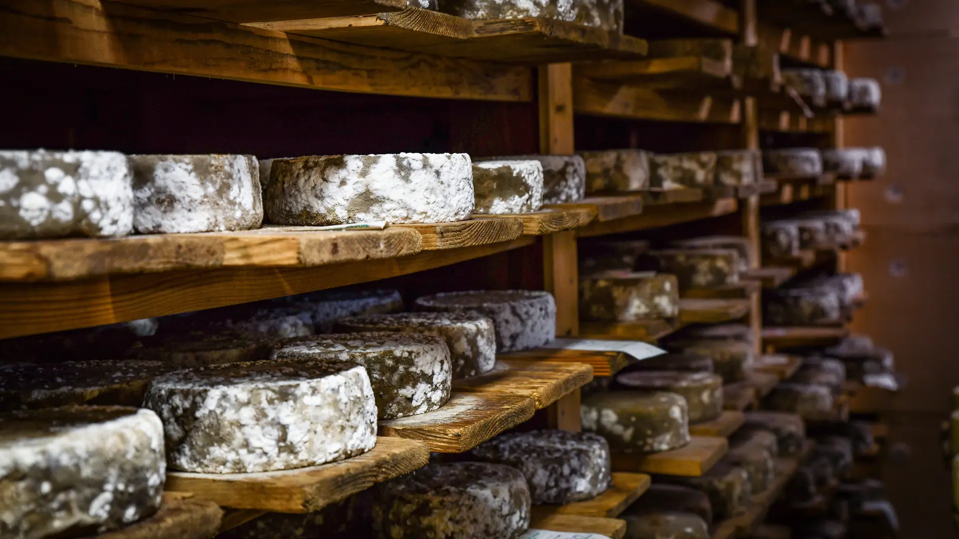 Fromages affinés