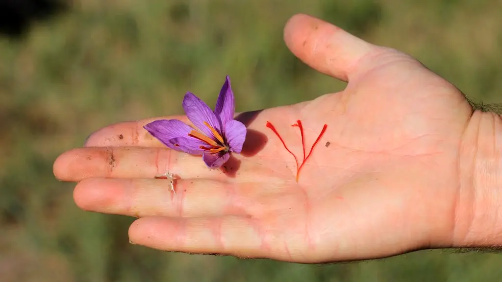 Alain Hocquel - Collect. ADT