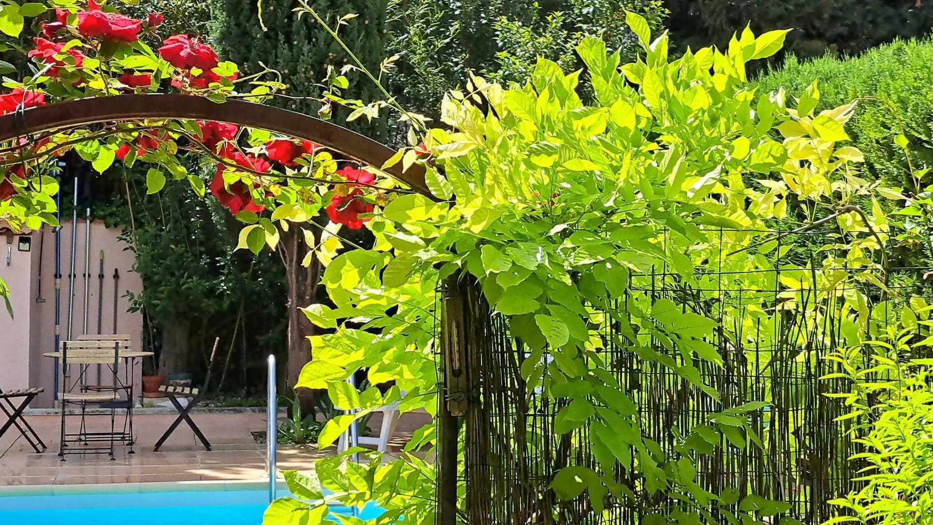 Vers la quiétude de la piscine.