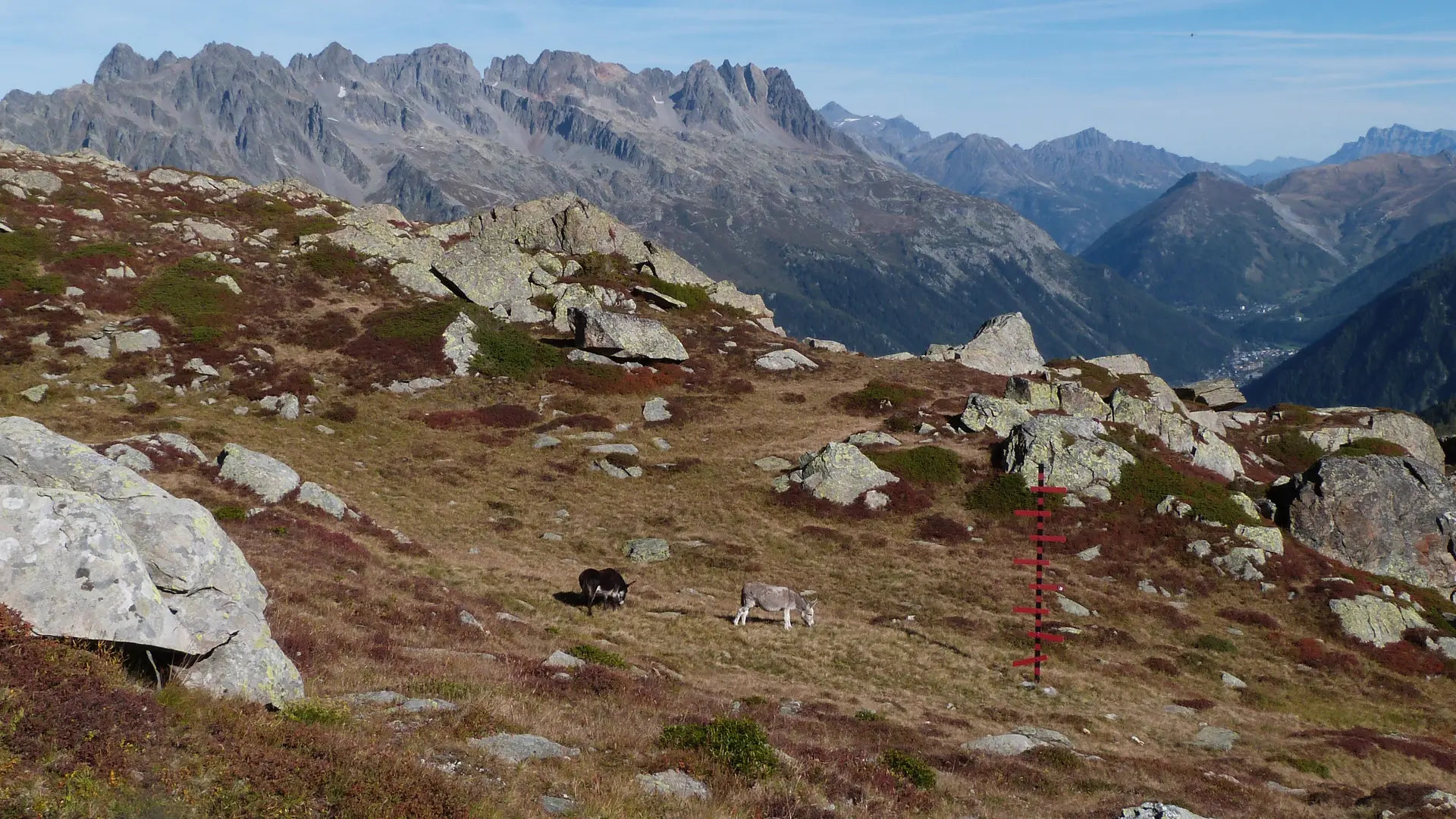 Plan de l'aiguille