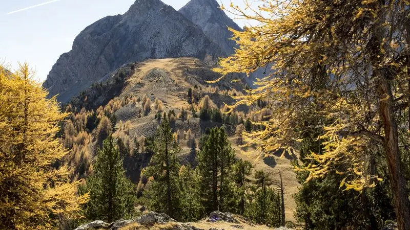 Les Peygus - Cervières