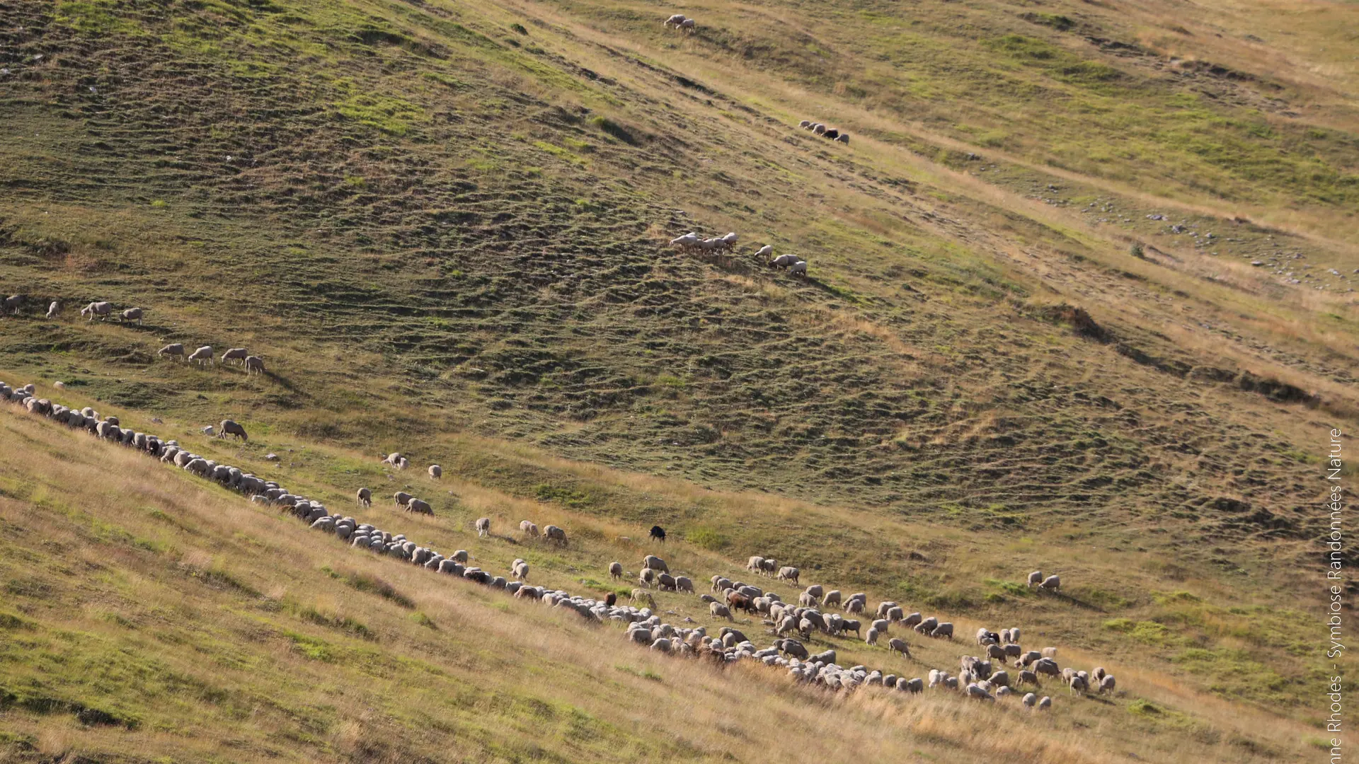 Symbiose Randonnées Nature CROTS