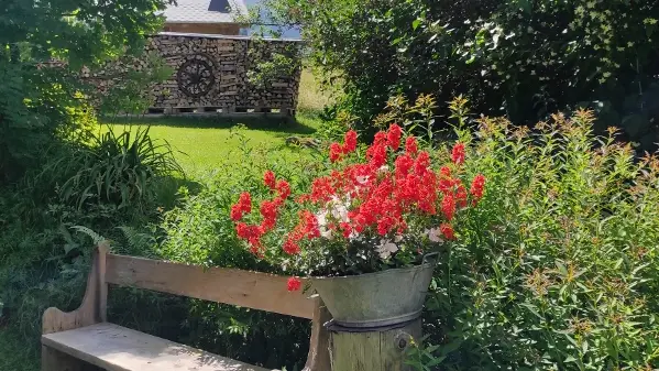 Jardin