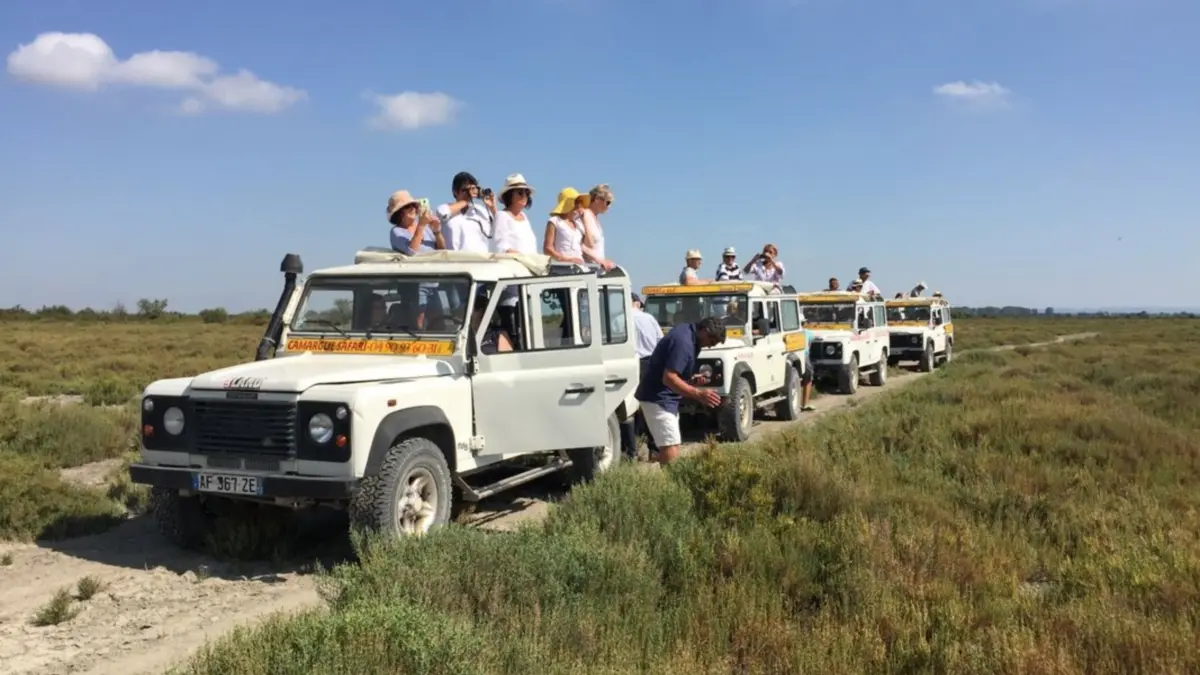 Camargue Alpille Safari