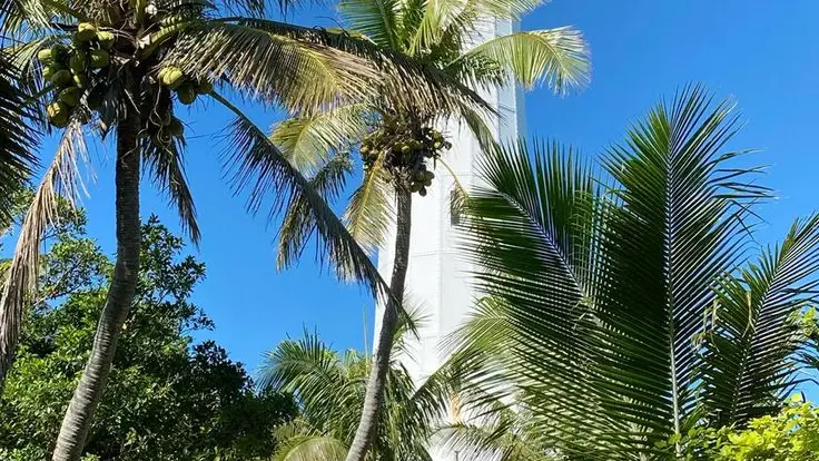 Phare Amédée