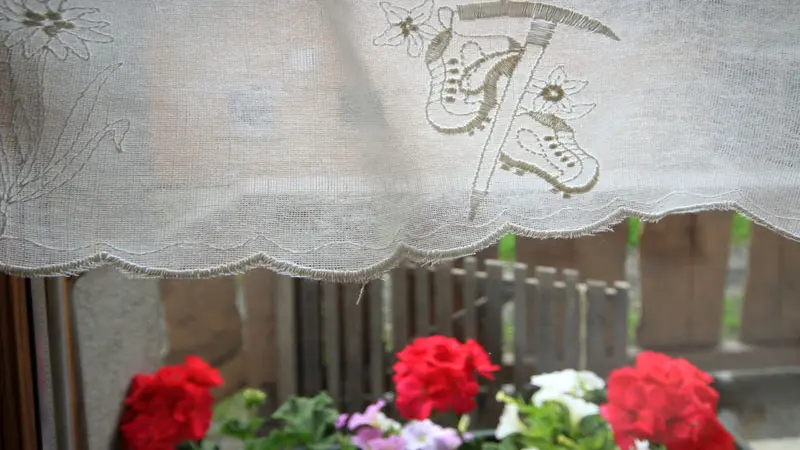 Fleur et montagne