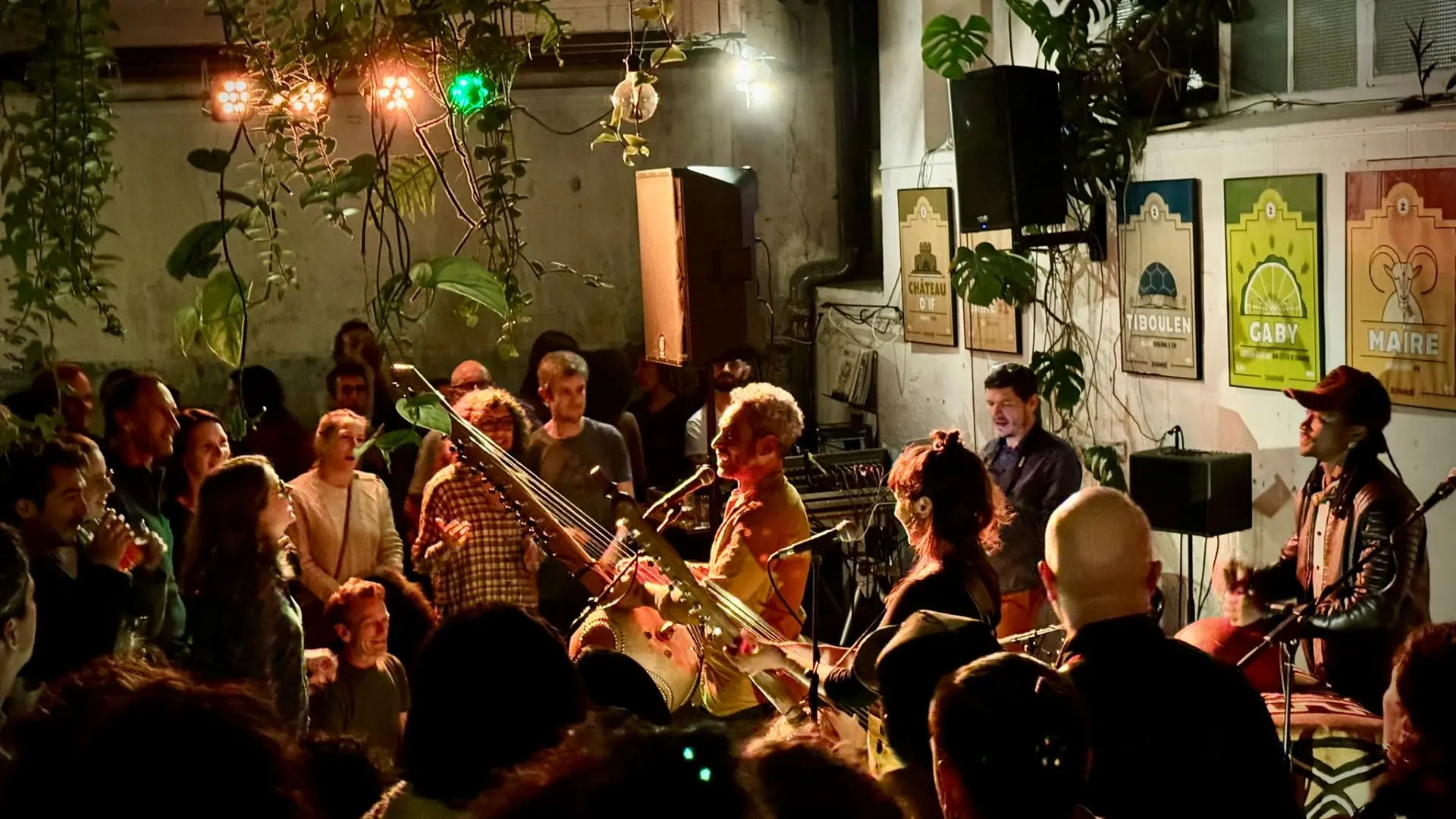 concert avec des musiciens