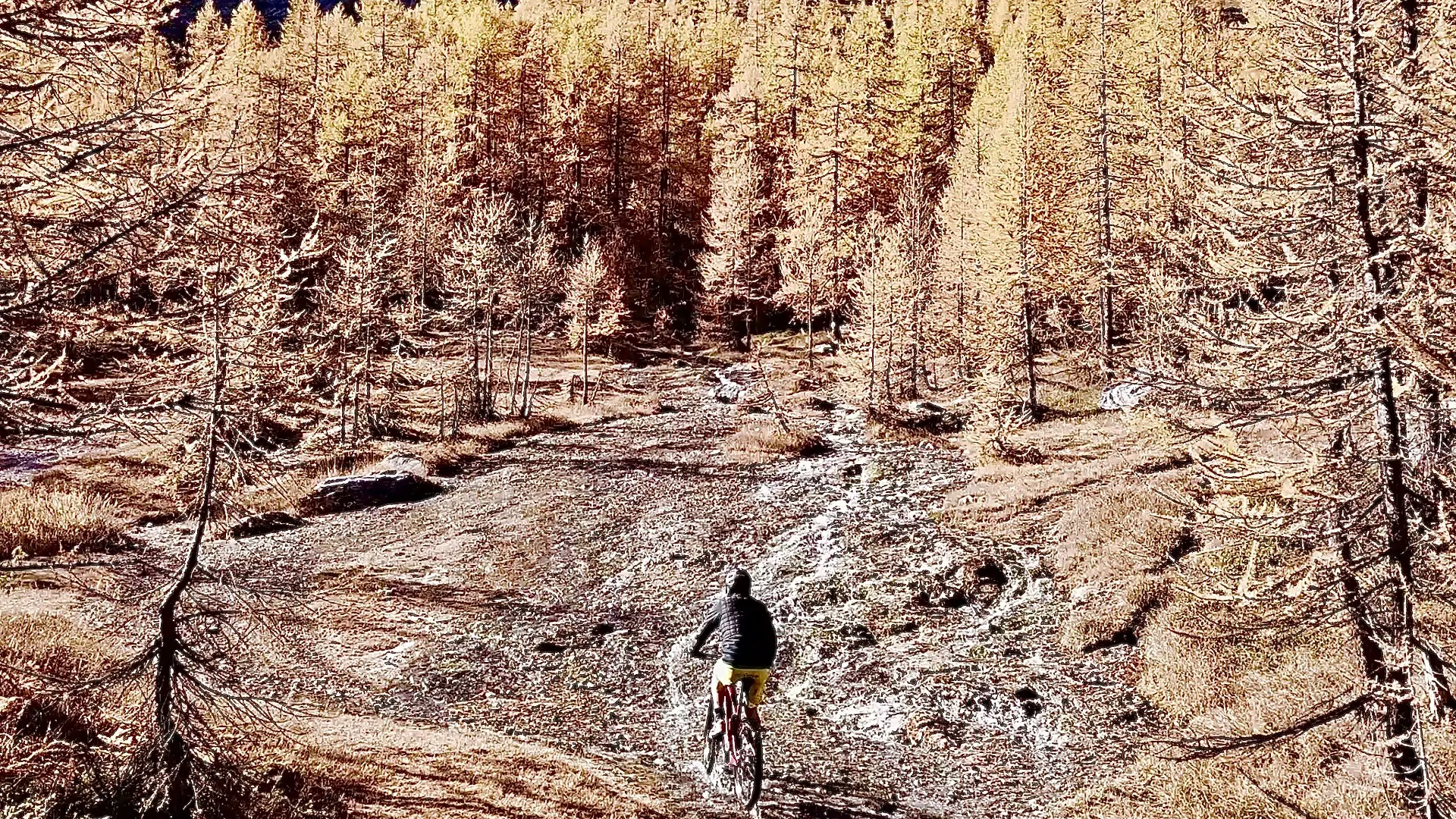 Bazu Experience_Val-d'Isère
