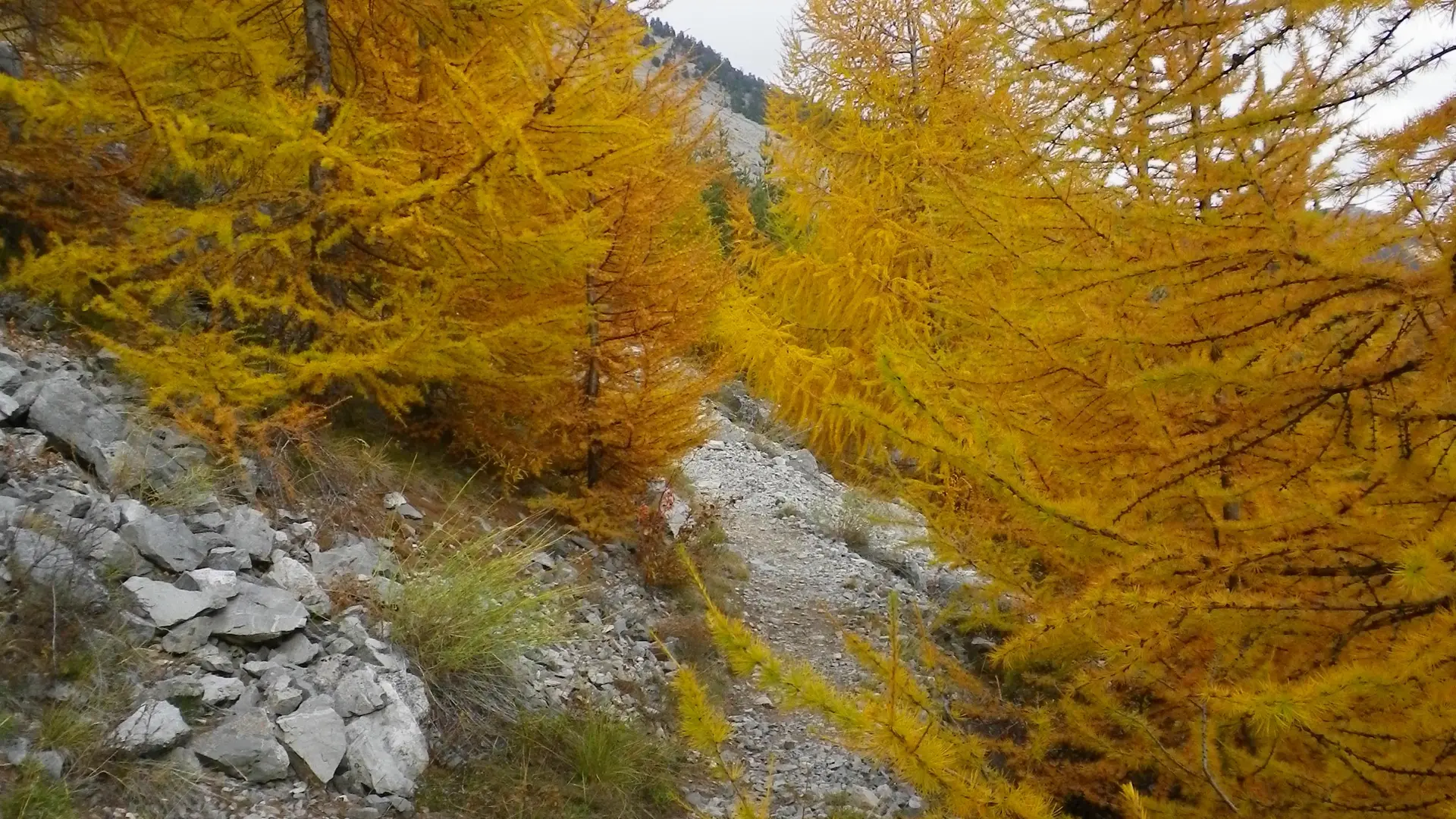automne en Clarée