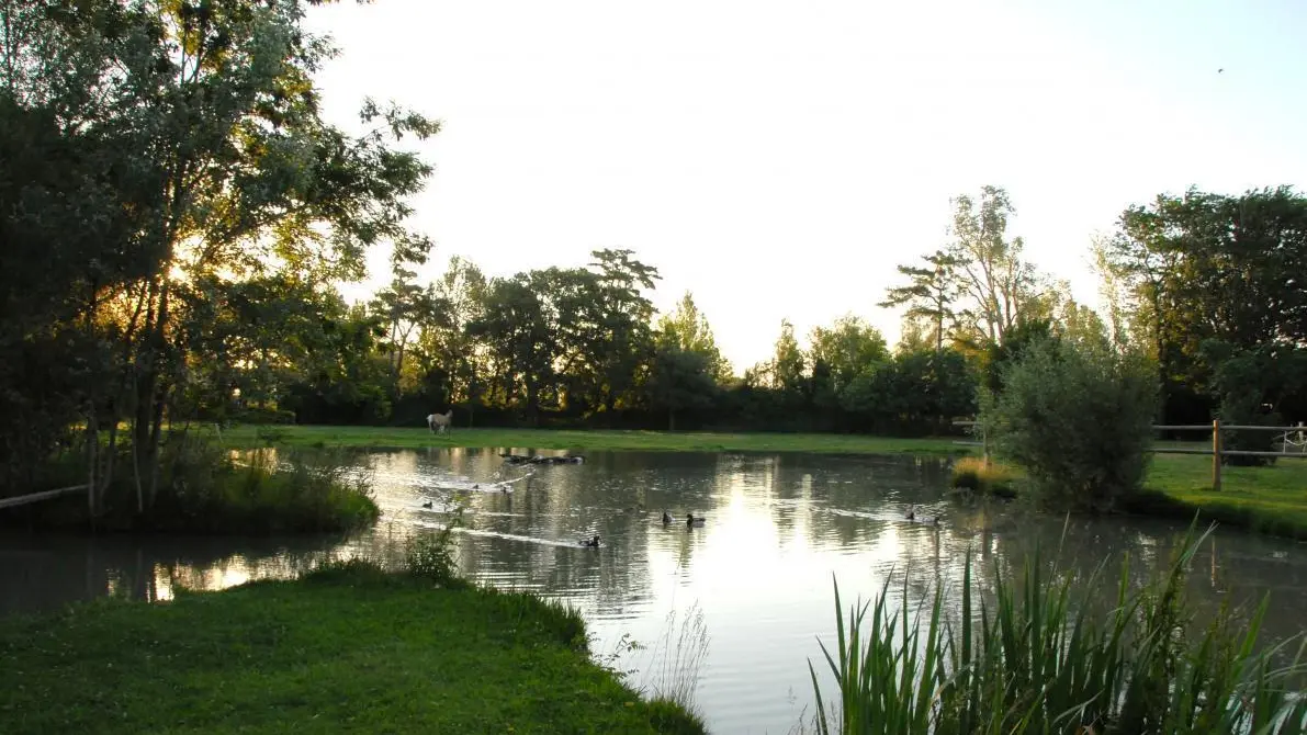 VUE SUR L ETANG DEVANT LE GÏTE